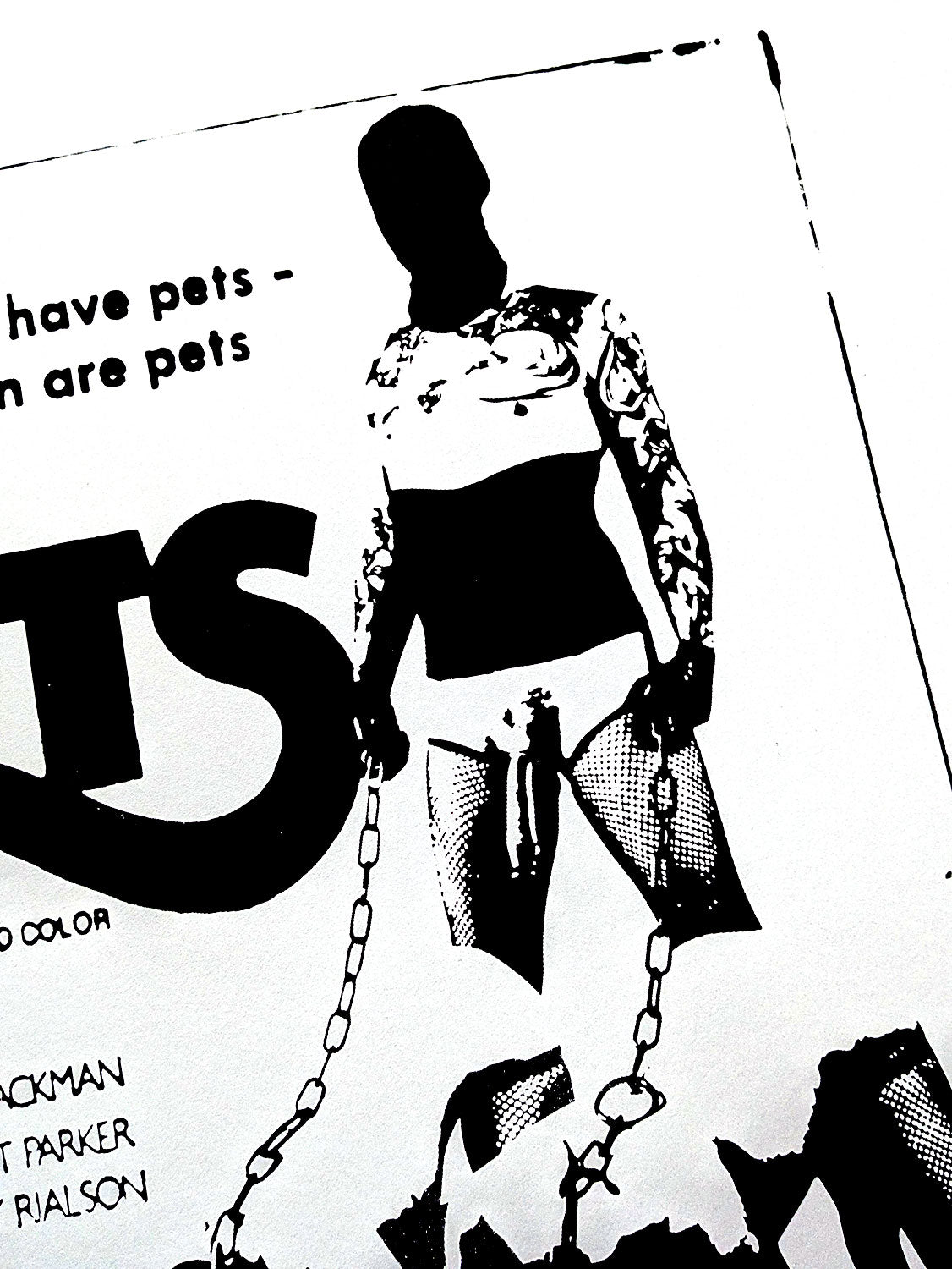 Pets - 16x20 Screen Print